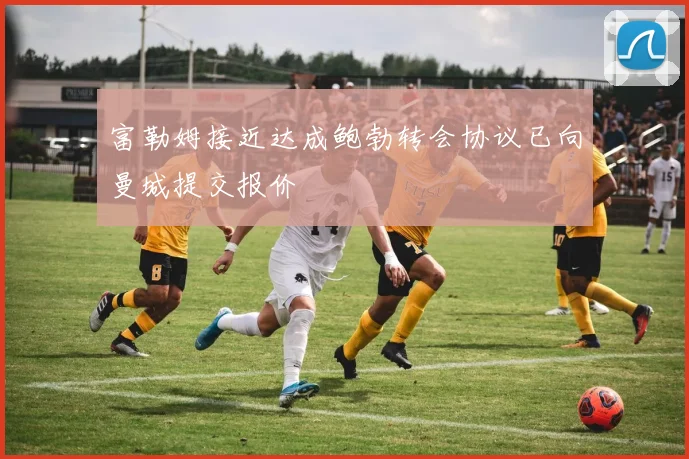 富勒姆接近达成鲍勃转会协议已向曼城提交报价